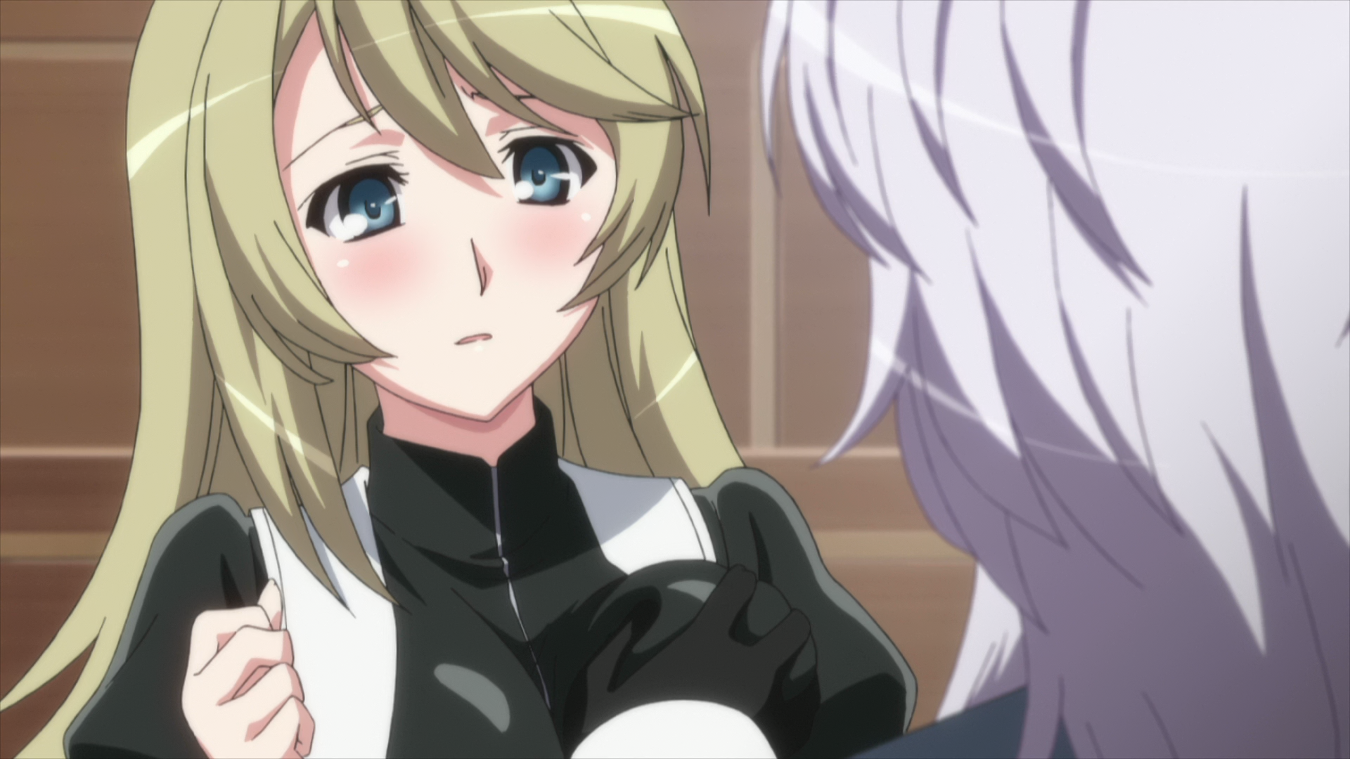 Seikon no Qwaser II (Otaku Tail No Fansub)